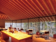 bf7b9d7083135795ed57820060a50637