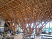 7c7d3624b47aea1aa056ef430a80321f